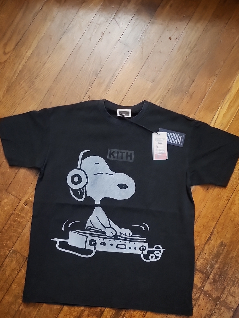 DJ SNOOPY IN THE HOUSE